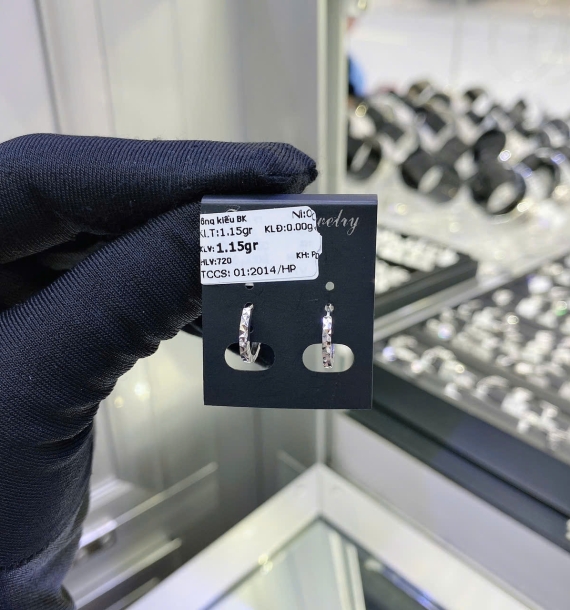 Bông Tai Bạch Kim VT750 VT12