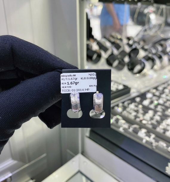 Bông Tai Bạch Kim VT750 VT17