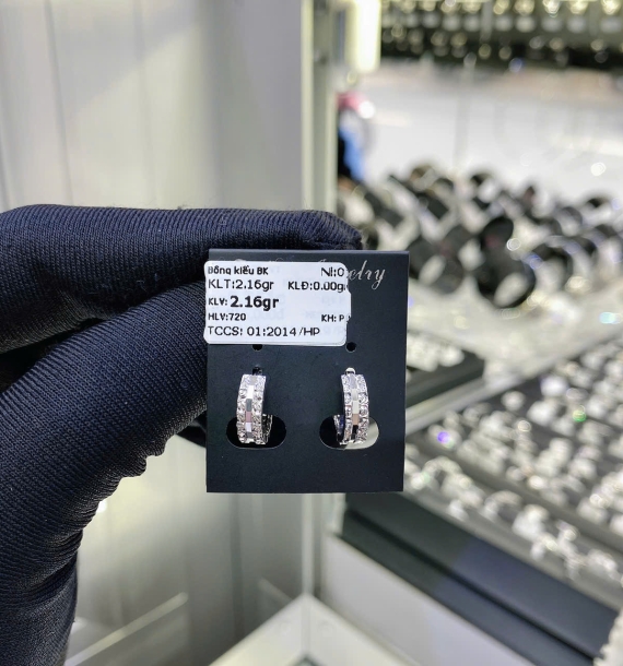 Bông Tai Bạch Kim VT750 VT18