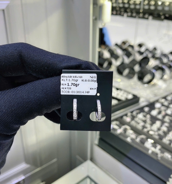 Bông Tai Bạch Kim VT750 VT20