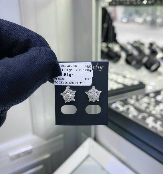 Bông Tai Bạch Kim VT750 VT21