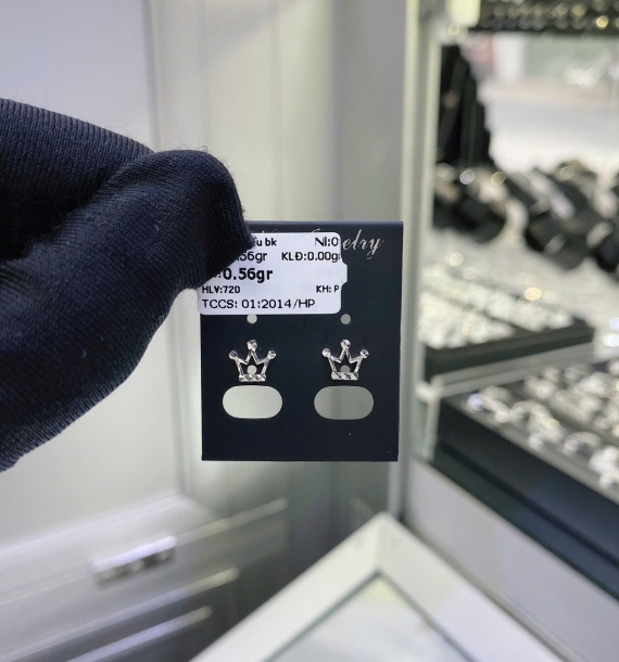 Bông Tai Bạch Kim VT750 VT23