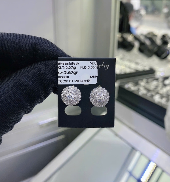 Bông Tai Bạch Kim VT750 VT36