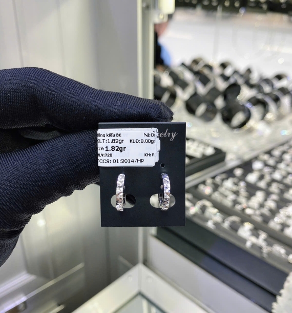 Bông Tai Bạch Kim VT750 VT4