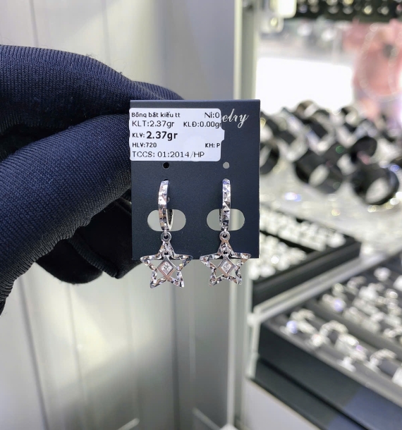 Bông Tai Bạch Kim VT750 VT49